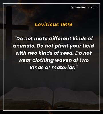 Leviticus 19:19 weird bible verse