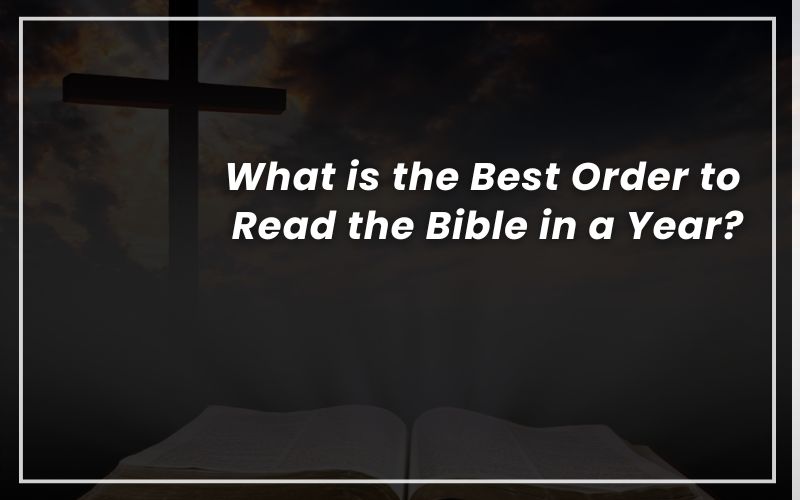 What Order to Read the Bible for Beginners