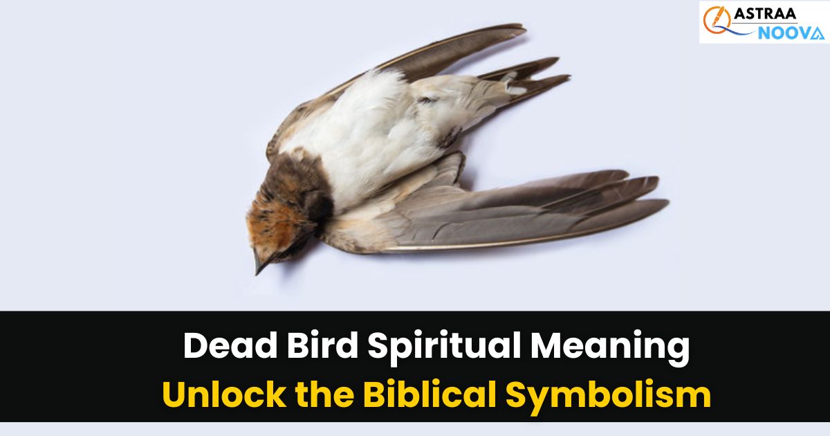 Dead Bird Spiritual Meaning: Unlock the Hidden Biblical Message